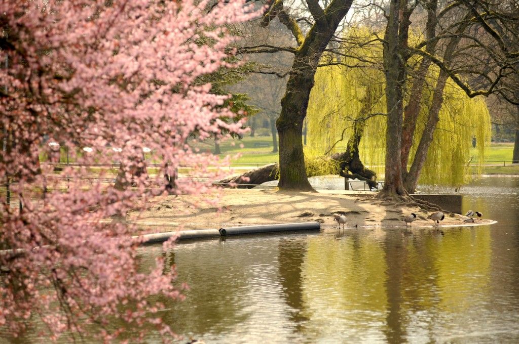 Köln Südstadt Volksgarten